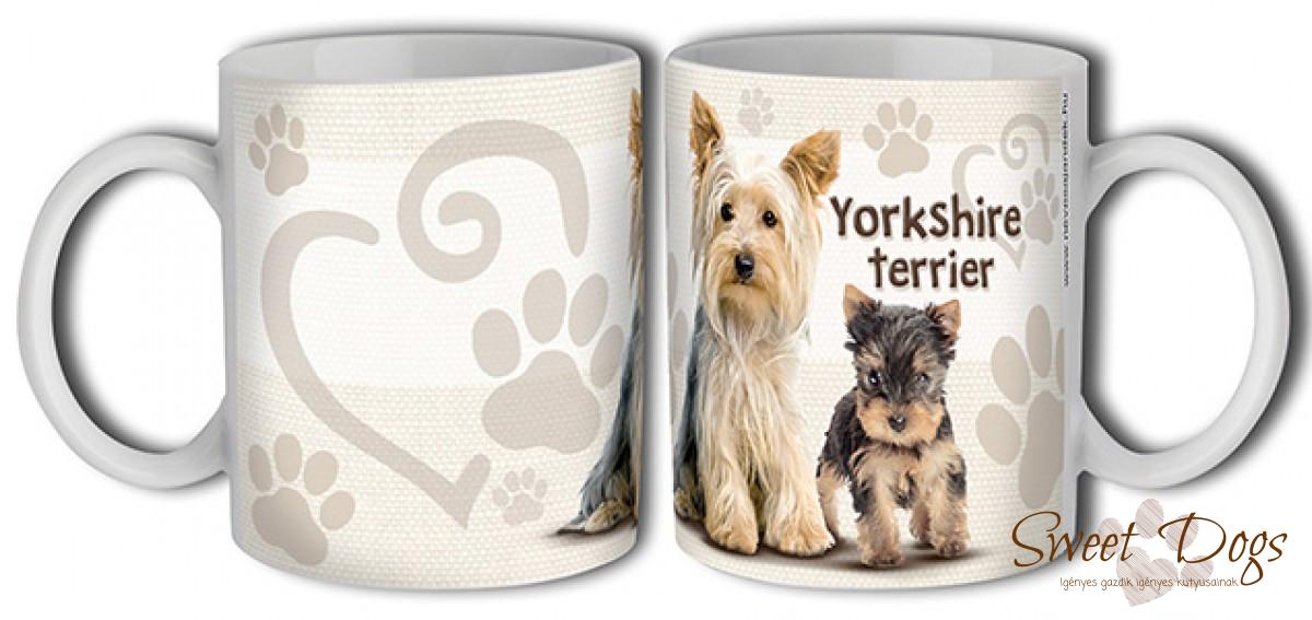 Yorkshire terrier bögre